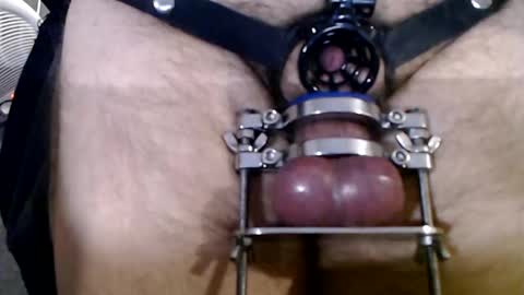 chastebetabitch online show from 02.04.25