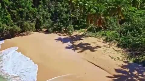 Sam online show from 12.17.24