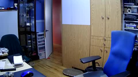 Snapshot of chatandfun666 chatting on 12.04.24 wanaBeYourToy online show from 12.04.24