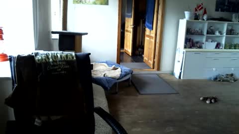 chefben666 online show from 04.15.26