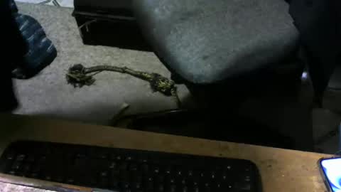 Snapshot of chefy999 chatting on 11.10.25 chefy online show from 11.10.25