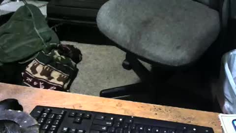 chefy online show from 12.18.25