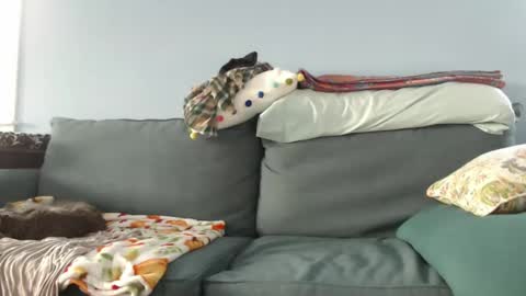 Snapshot of chelseasentra1 chatting on 12.27.24 Chelsea online show from 12.27.24