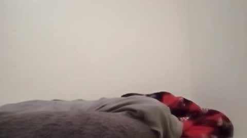 Snapshot of chemicalx_ chatting on 02.04.26 ChemicalX online show from 02.04.26