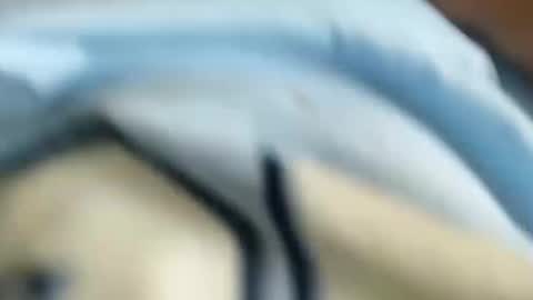 domenic online show from 01.31.25