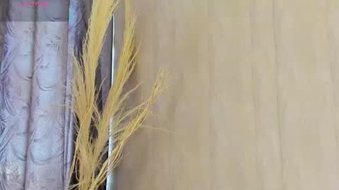 C H L O E  online show from 01.17.26