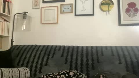 Chloe online show from 12.24.24