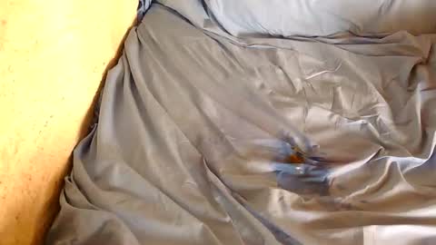 Snapshot of chpoor chatting on 02.28.25 davenz online show from 02.28.25