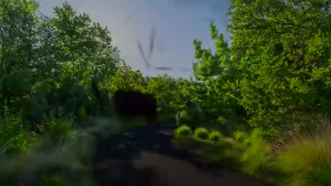 Chris online show from 01.27.25