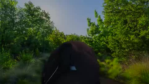 Christian online show from 11.10.25