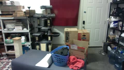 Chris online show from 12.04.24