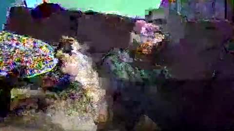 christopher1087 online show from 03.03.26