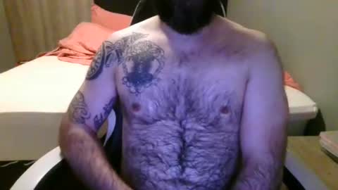 chub bear 99 online show from 07.07.26