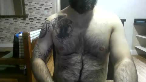 chub bear 99 online show from 08.07.26