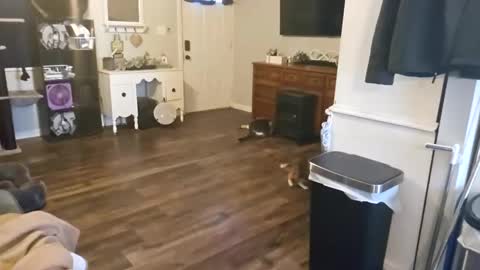 Snapshot of chubbyhubbyy420 chatting on 09.12.25 ChubbyHubby420 online show from 09.12.25