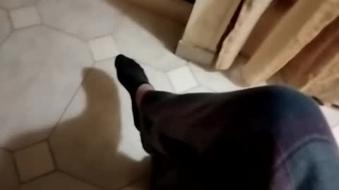 ciccilli online show from 10.28.25