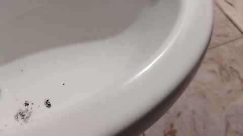 ciccilli online show from 11.01.25