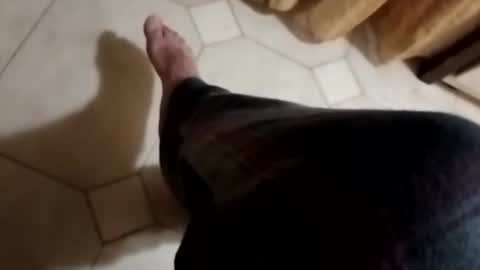 ciccilli online show from 11.04.25