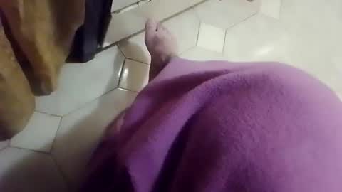 ciccilli online show from 04.13.26