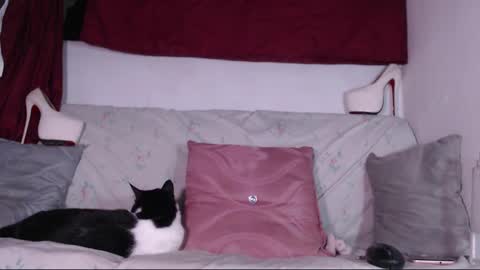 cicimom online show from 01.24.25