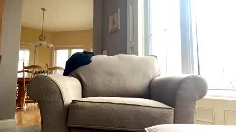 cinapw online show from 12.21.24