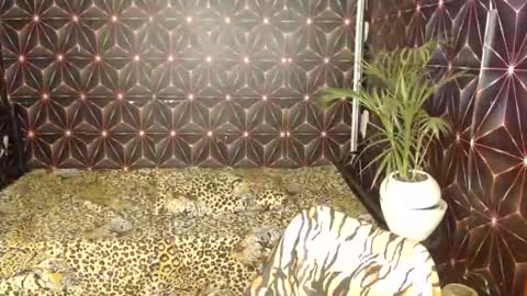 Cindy online show from 01.07.25