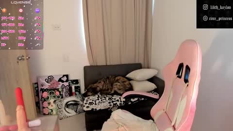 Paulina online show from 11.06.25