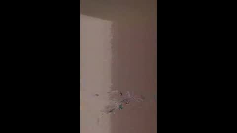 cleggjeffrey222 online show from 05.18.26