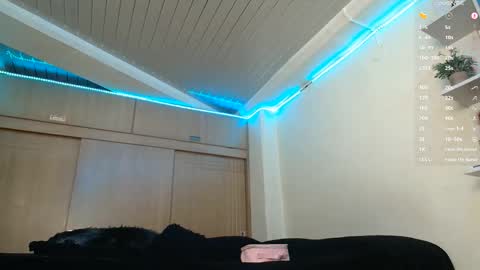 clermontt online show from 02.14.26