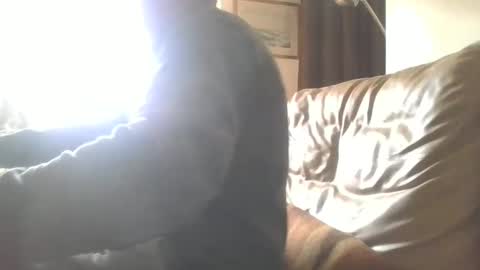 Snapshot of cock9635 chatting on 12.28.24 cock9635 online show from 12.28.24