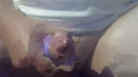 cocktoys online show from 03.14.26