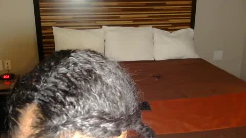 chanel online show from 03.02.26