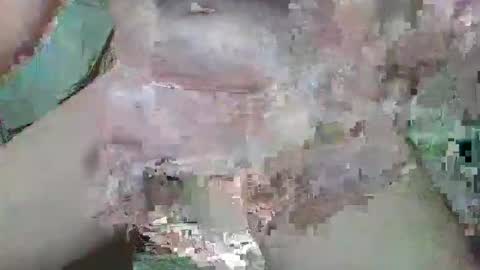 cogela_sin_miedo online show from 10.20.25