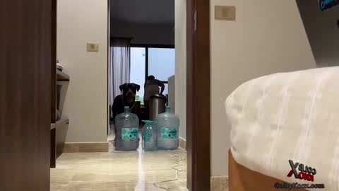 Snapshot of colbyknox chatting on 09.20.25 colbyknox online show from 09.20.25