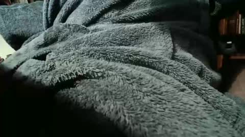 colchuck online show from 02.20.26