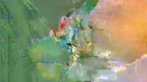 colourlight online show from 11.24.25