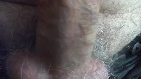 comox online show from 12.07.24