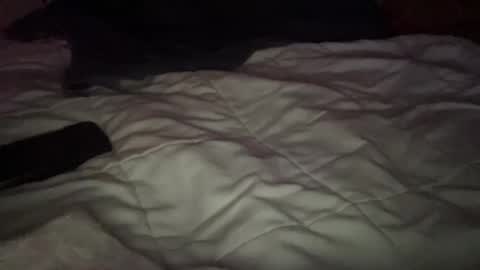 concretecarpenter online show from 11.09.25