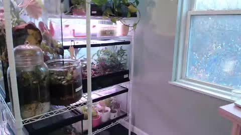 Snapshot of constantcumquest chatting on 11.09.25 ANR Mommy online show from 11.09.25