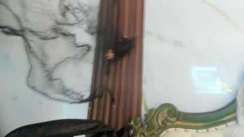 Snapshot of coraliebronson chatting on 10.28.25 Coralie Bronson online show from 10.28.25