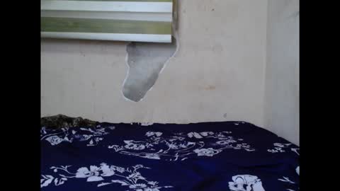 Snapshot of cornxslut chatting on 09.15.25 cornxslut online show from 09.15.25