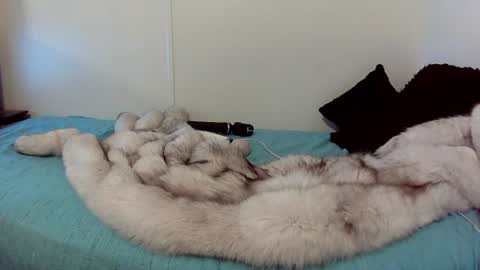 corsetnboots online show from 06.12.26