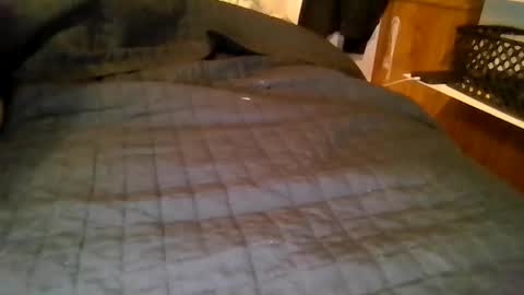 your local abrasive ALT couple online show from 03.19.26