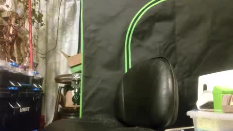 crackback_kyd online show from 02.14.26