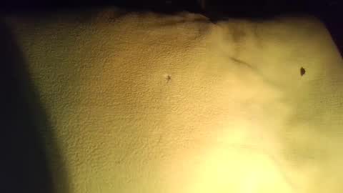 Snapshot of crave_me_ chatting on 11.29.25 crave_me_ online show from 11.29.25