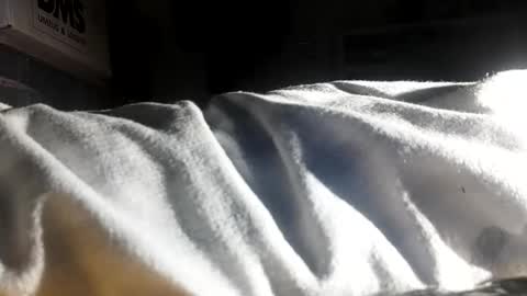 Snapshot of crave_me_ chatting on 11.30.25 crave_me_ online show from 11.30.25