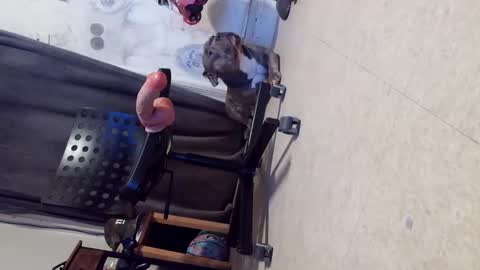 Snapshot of crazy4feetmanic chatting on 10.29.25 drbucknaked online show from 10.29.25