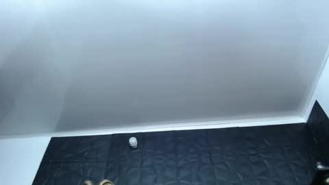 Snapshot of cristal_smith06 chatting on 12.17.24 Hanna online show from 12.17.24