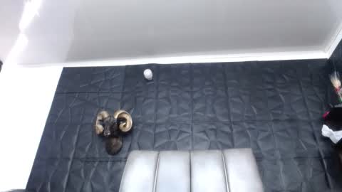 Hanna  online show from 03.15.26