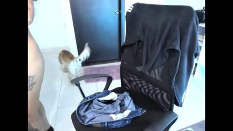 cristinasweet7 online show from 11.30.25